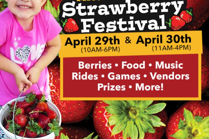 mitcham-farm-listing-strawberry-festival-square