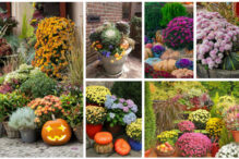 fall-garden-ideas-collage
