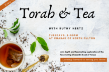 torah and tea 5784