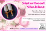 Sisterhood Shabbat 2024 Postcard 1.22.24 NEW