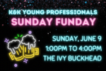CAL_0609 Kibbitz Konnect Young Professionals Sunday Funday May 31
