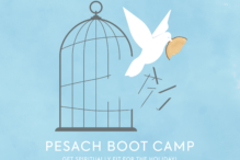 Passover Bootcamp_Square_Mod
