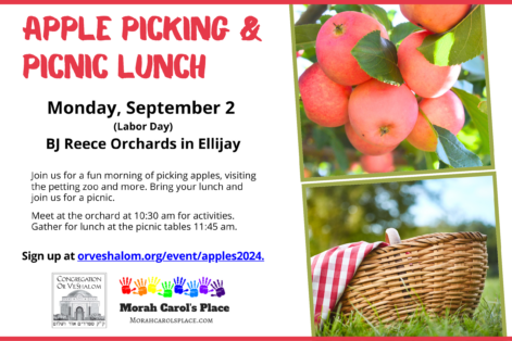 Apple Picking & Picnic Lunch Postcard 2024