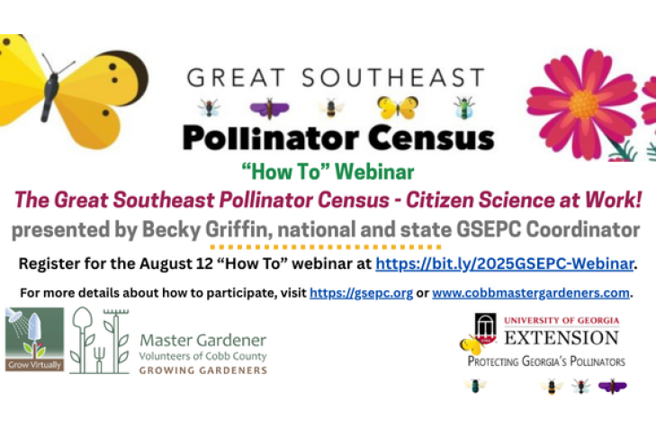 Aug 12 Webinar Header