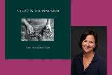 CAL_1109 Sophie Menin, A Year in the Vineyard October 31