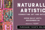 CNC 1596 Naturally Artistic Newsletter 1200x6002