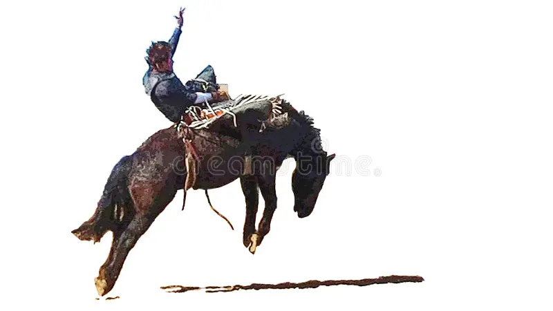 Jewish Rodeo Who Holds the Reins? | Atlanta Jewish Connector