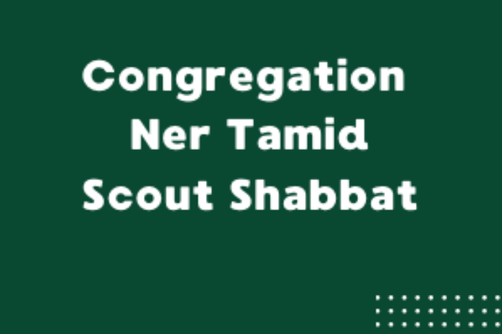 CAL_0206 Scout Shabbat at Congregation Ner Tamid January 31
