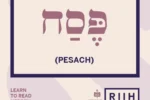 2 2