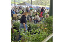 Plant Sale photo Plant Sale photo