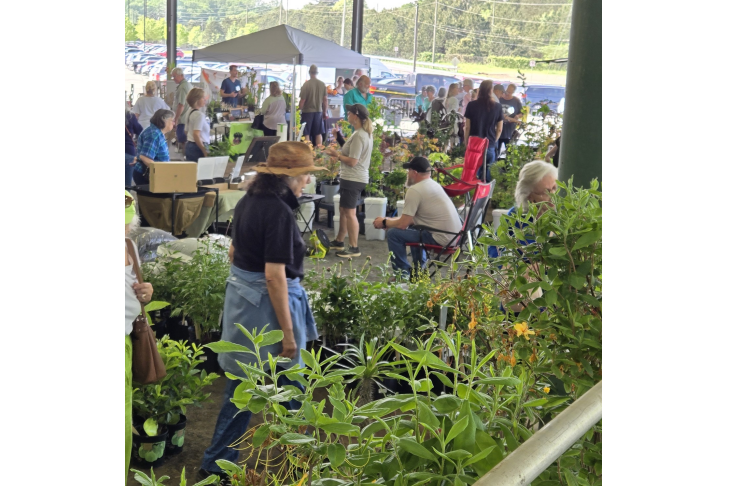 Plant Sale photo