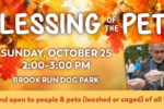 CAL_1025 Blessing of the Pets October 15 CAL_1025 Blessing of the Pets October 15
