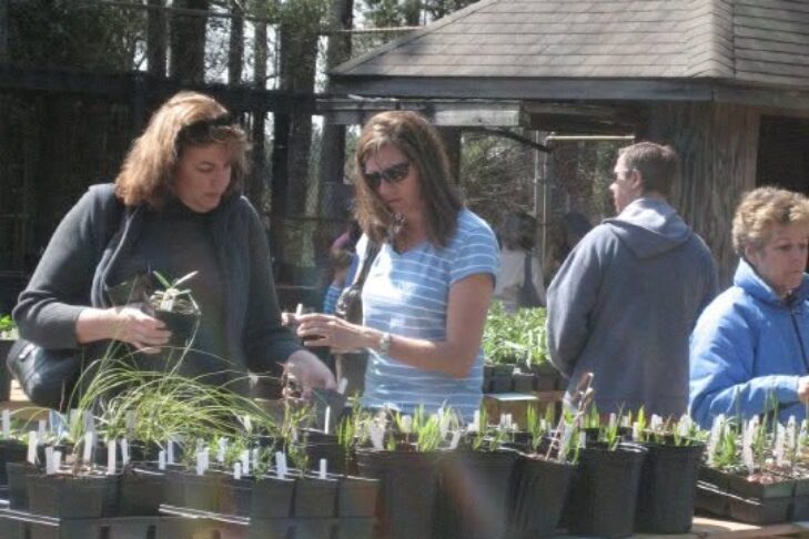 CAL_0924 0925 0926 Fall Native Plant Sale September 15