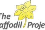 Daffofdil Project Daffofdil Project