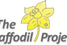 Daffofdil Project Daffofdil Project