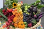 market+basket+rainbow+beauty.jpg market+basket+rainbow+beauty.jpg