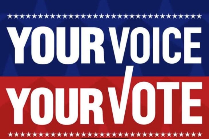 Your-Voice-Your-Vote