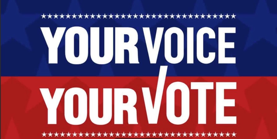 Your-Voice-Your-Vote