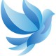 The Blue Dove Foundation