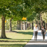 Explore Brookhaven