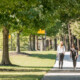 Explore Brookhaven
